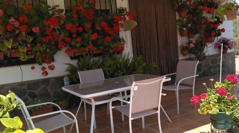 Photo 4 of Country homes for sale in Pozoblanco, Córdoba