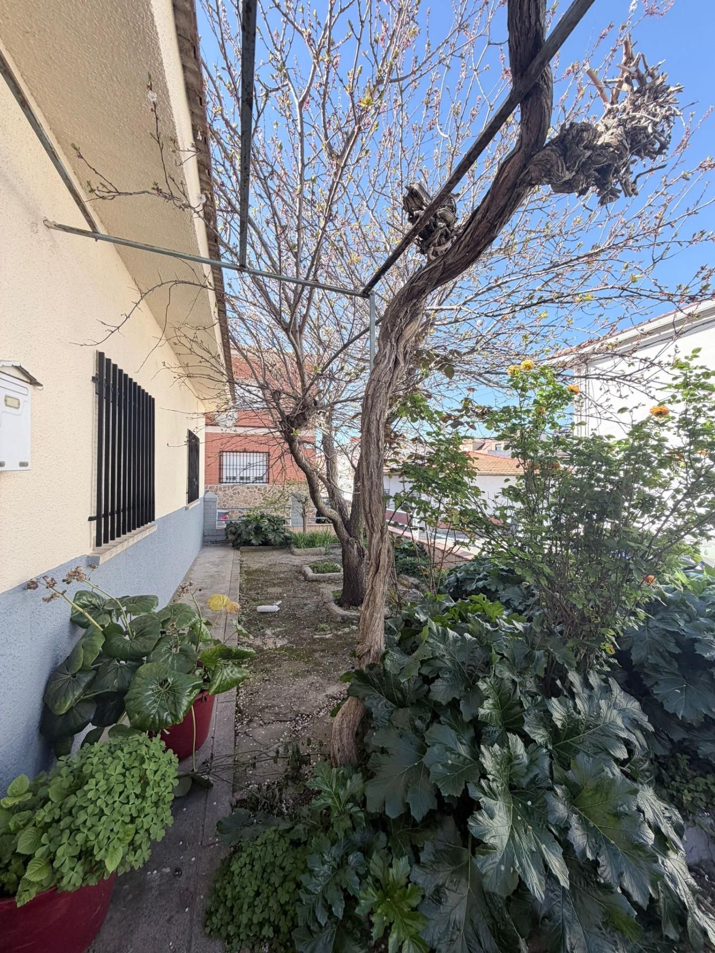 Vista exterior de Casa o xalet en venda en Alameda de la Sagra amb Calefacció i Traster