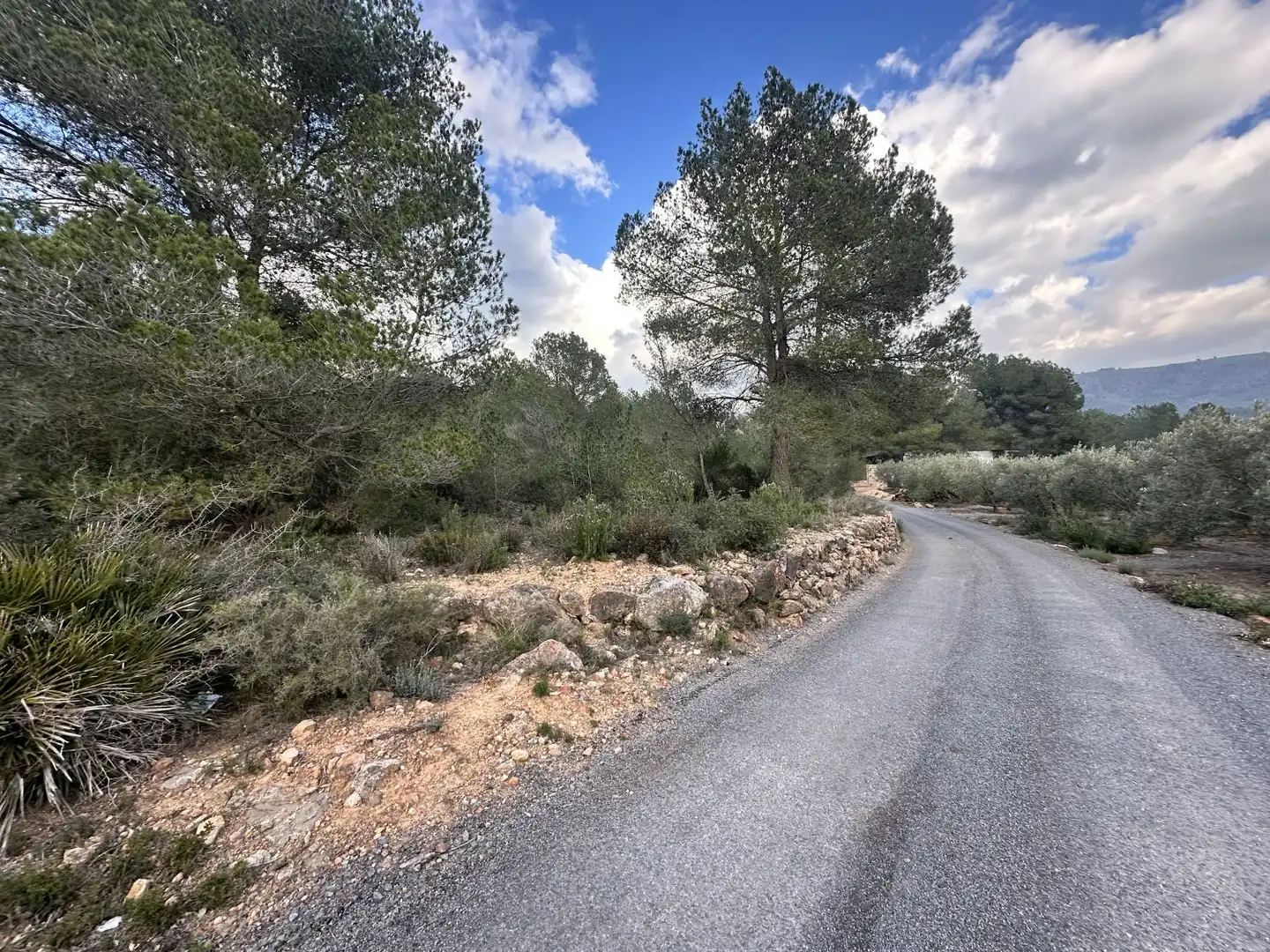 Terrenos y solares en venta en Alfara de la Baronia, imagen 6