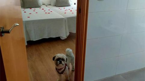 Foto 5 de Residencial en venta en Avenida Carretera de la Playa, 3m, Isla Cristina Ciudad, Isla Cristina