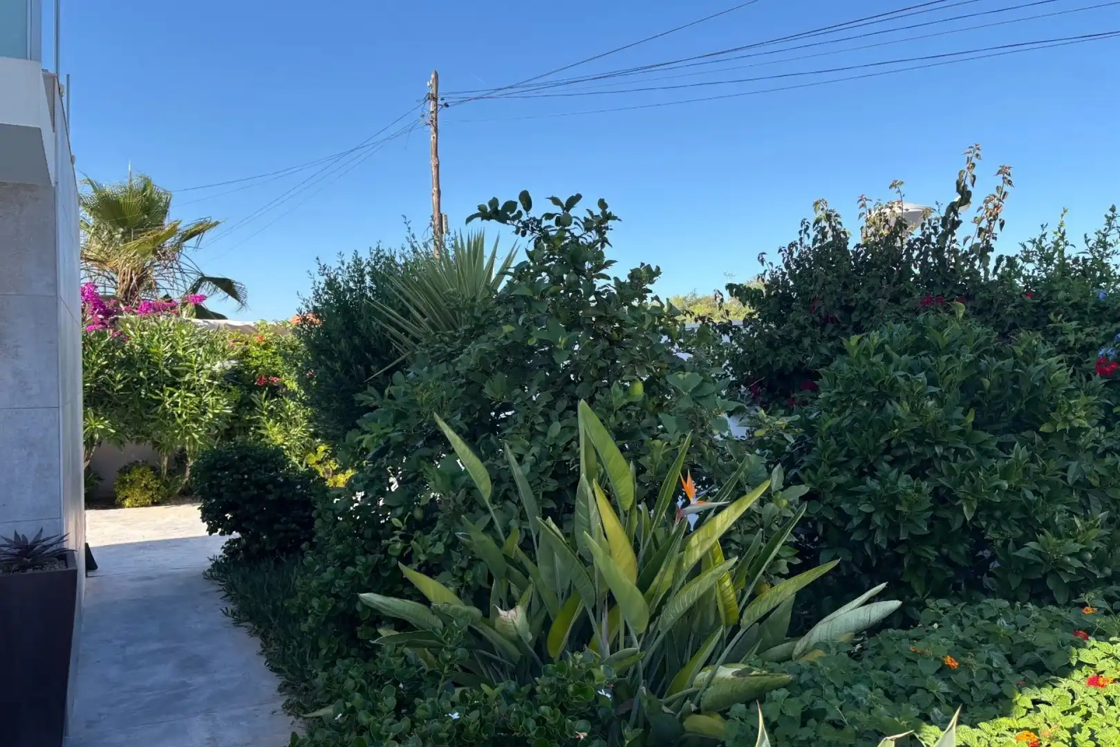 Vista exterior de Casa o xalet en venda en Torrevieja amb Aire condicionat, Calefacció i Jardí privat