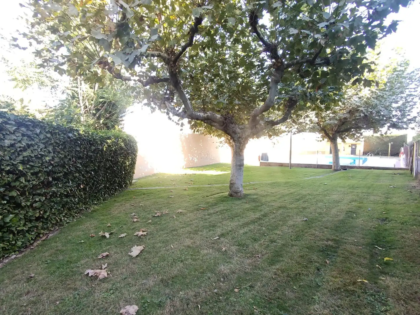 Jardín de Casa adosada en venta en El Molar (Madrid) con Calefacción, Jardín privado y Terraza