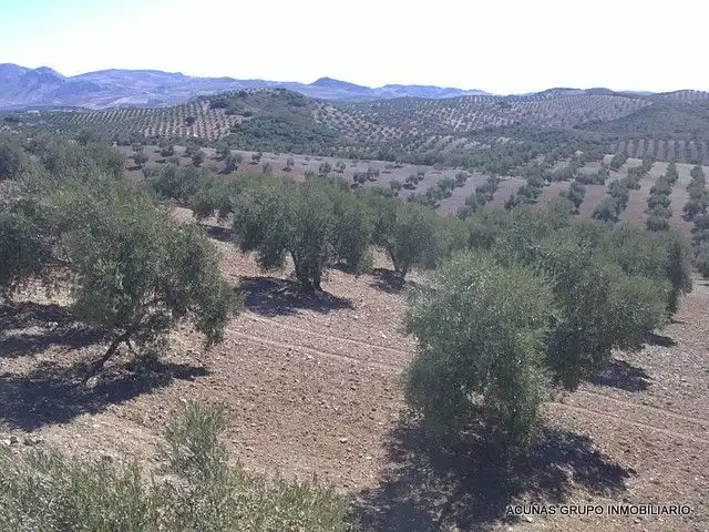Lands and plots for sale in Bobadilla - Bobadilla Estación - La Joya, imagen 16