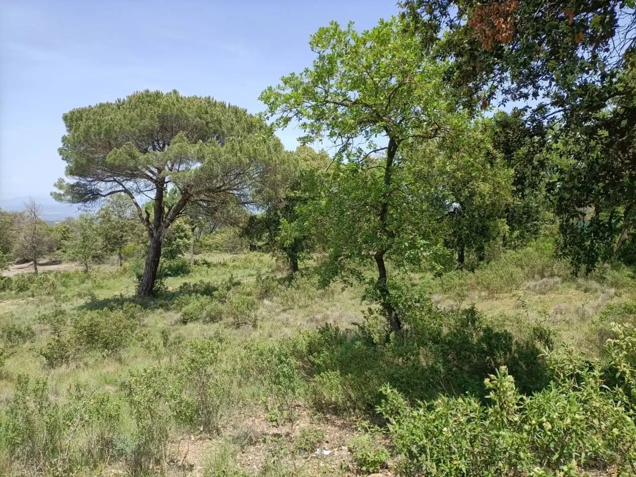 Residential land for sale in Seva