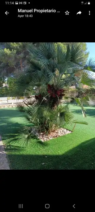 Villa avec piscine à vendre à Calle  Antonio Machado-Campoamor, imagen 39