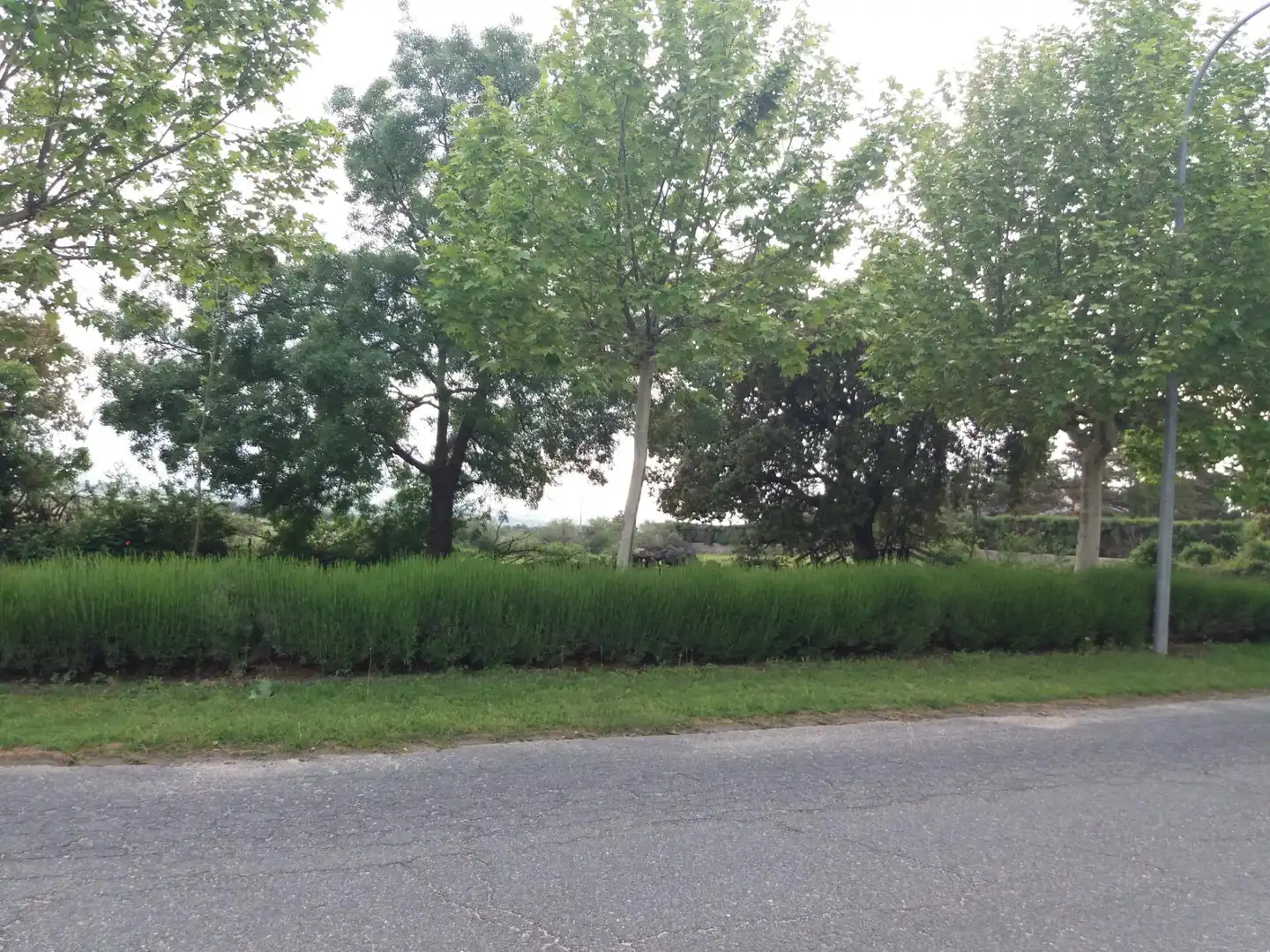 Terreni e lotti in vendita a Ortigosa del Monte, imagen 18