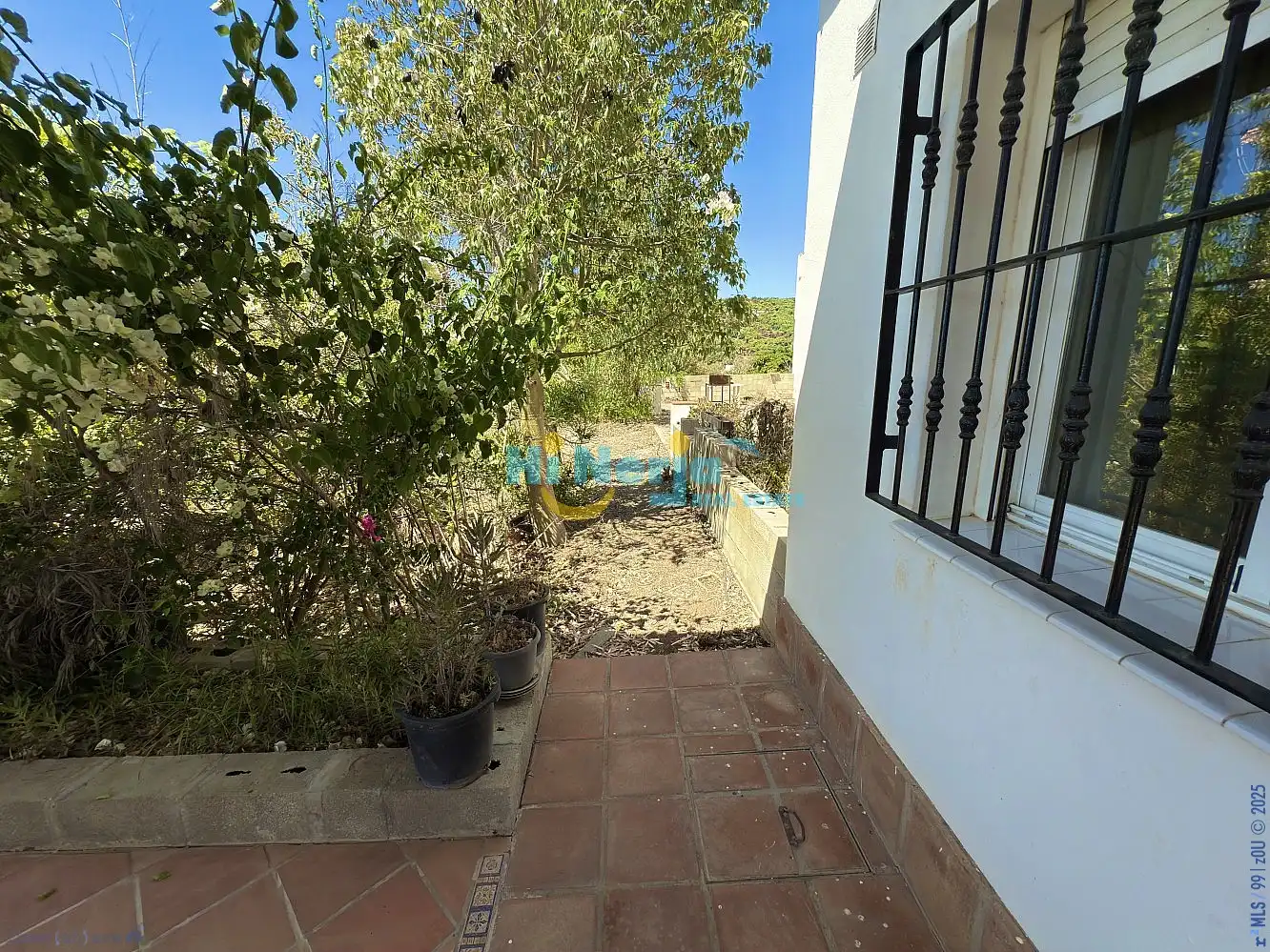 Vista exterior de Finca rústica en venta en Vélez-Málaga