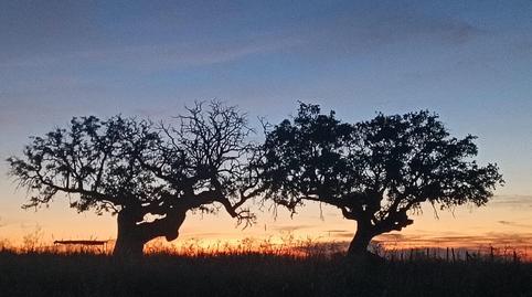 Photo 3 of Country house for sale in Horcajo Medianero, Salamanca