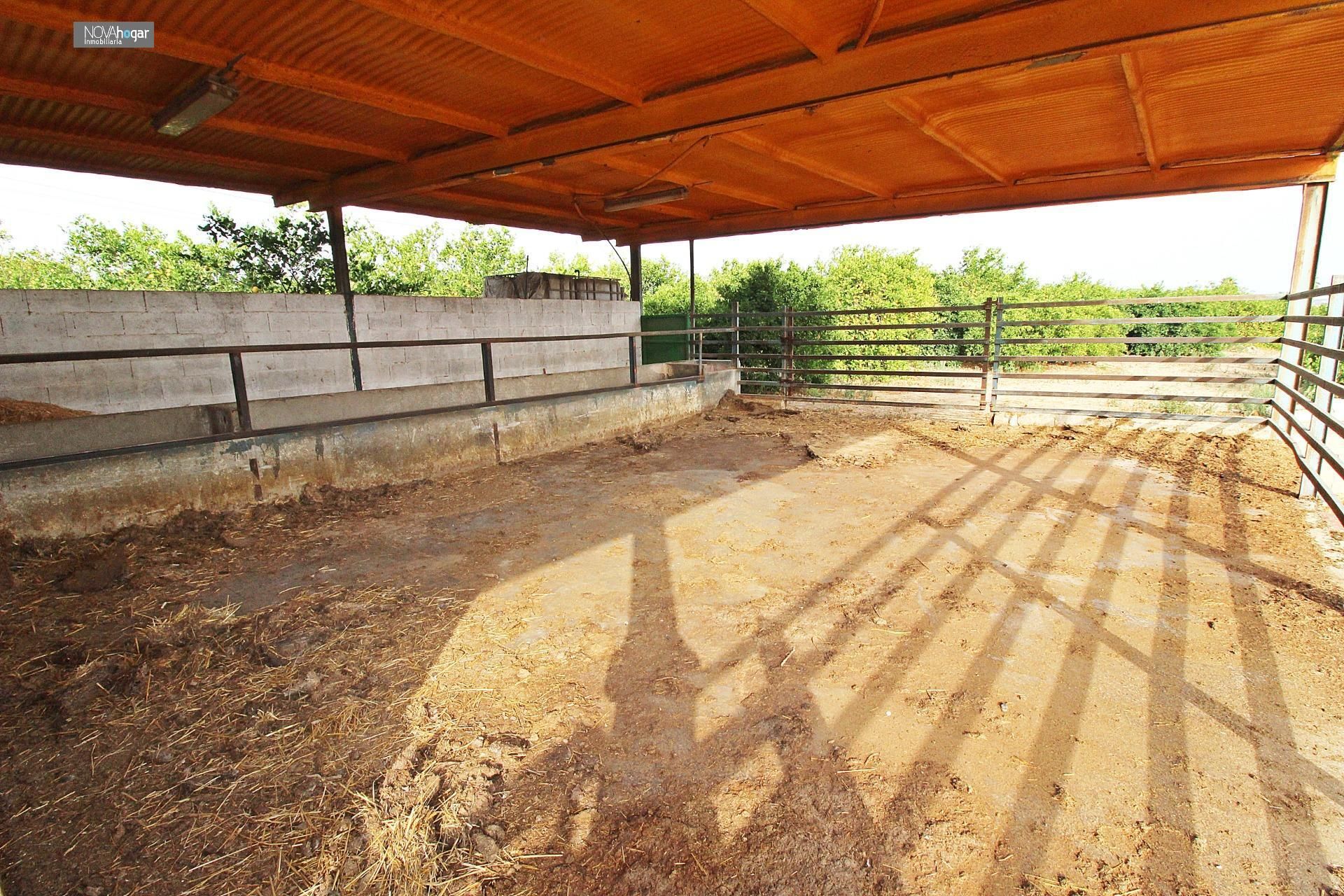 Vista exterior de Finca rústica en venda en Málaga Capital