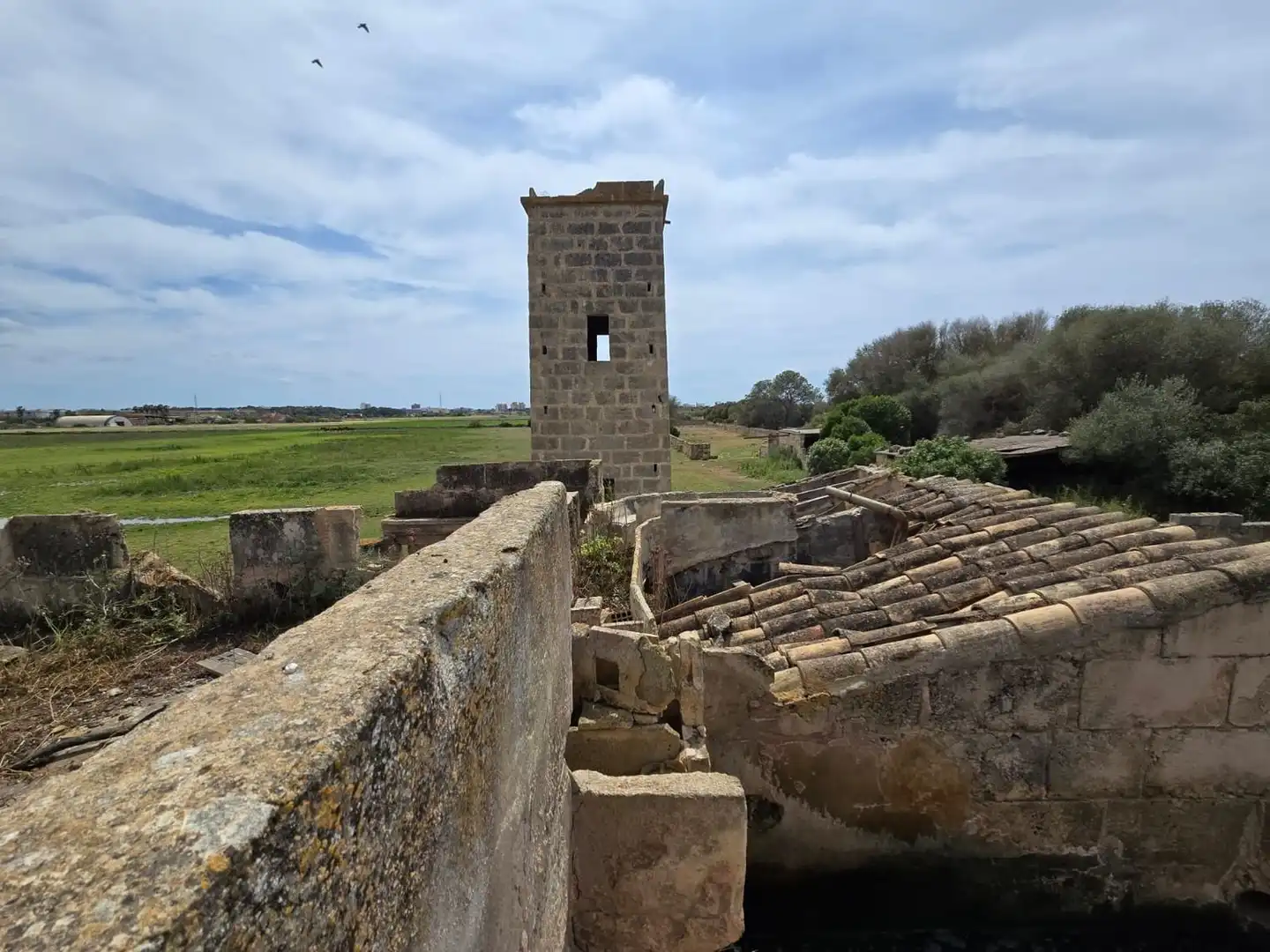 Vista exterior de Finca rústica en venta en  Palma de Mallorca con Jardín privado, Terraza y Trastero