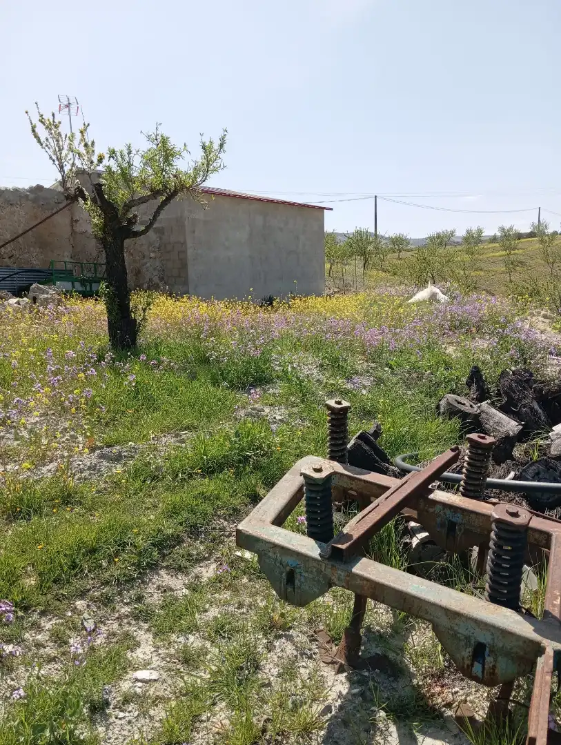 Terreno rustico in vendita a Diseminado Nogalte 63, imagen 6