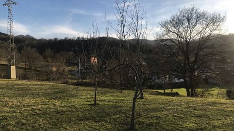 FINCA LLANA, SOLEADA Y CON VISTAS EN PUEBLO CON SERVICIOS, immagine 4