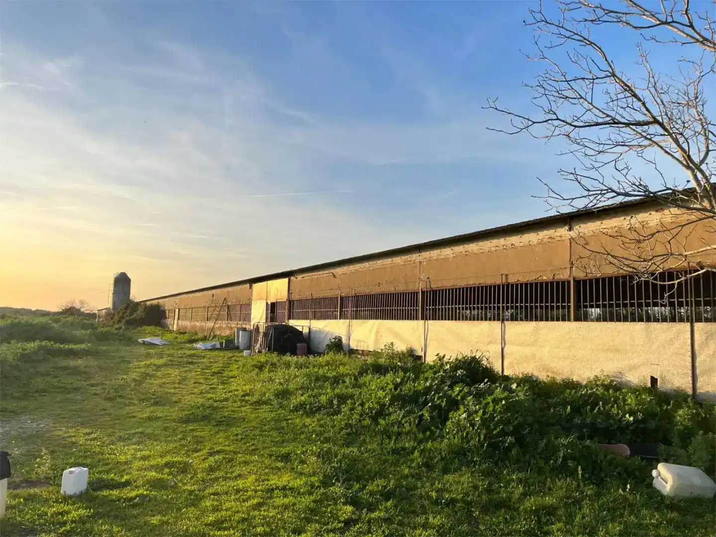 Vista exterior de Terreno en venta en Benacazón