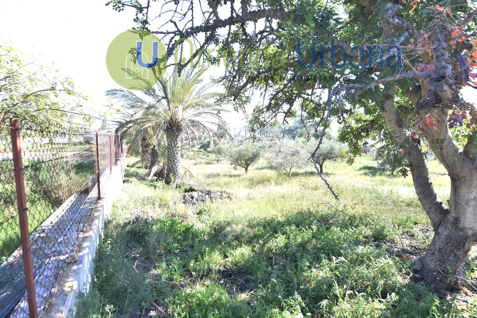 Casa o xalet en venda en Elche / Elx amb Jardí privat i Terrassa