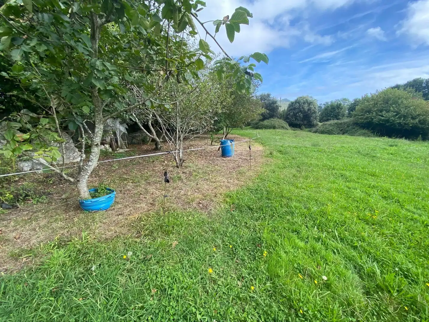 Finca rústica en venta en Argoños