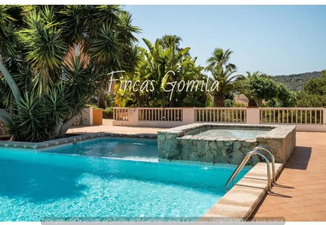 Swimming pool of Apartments for sale in Alaior  with Air Conditioner, Private garden and Terrace