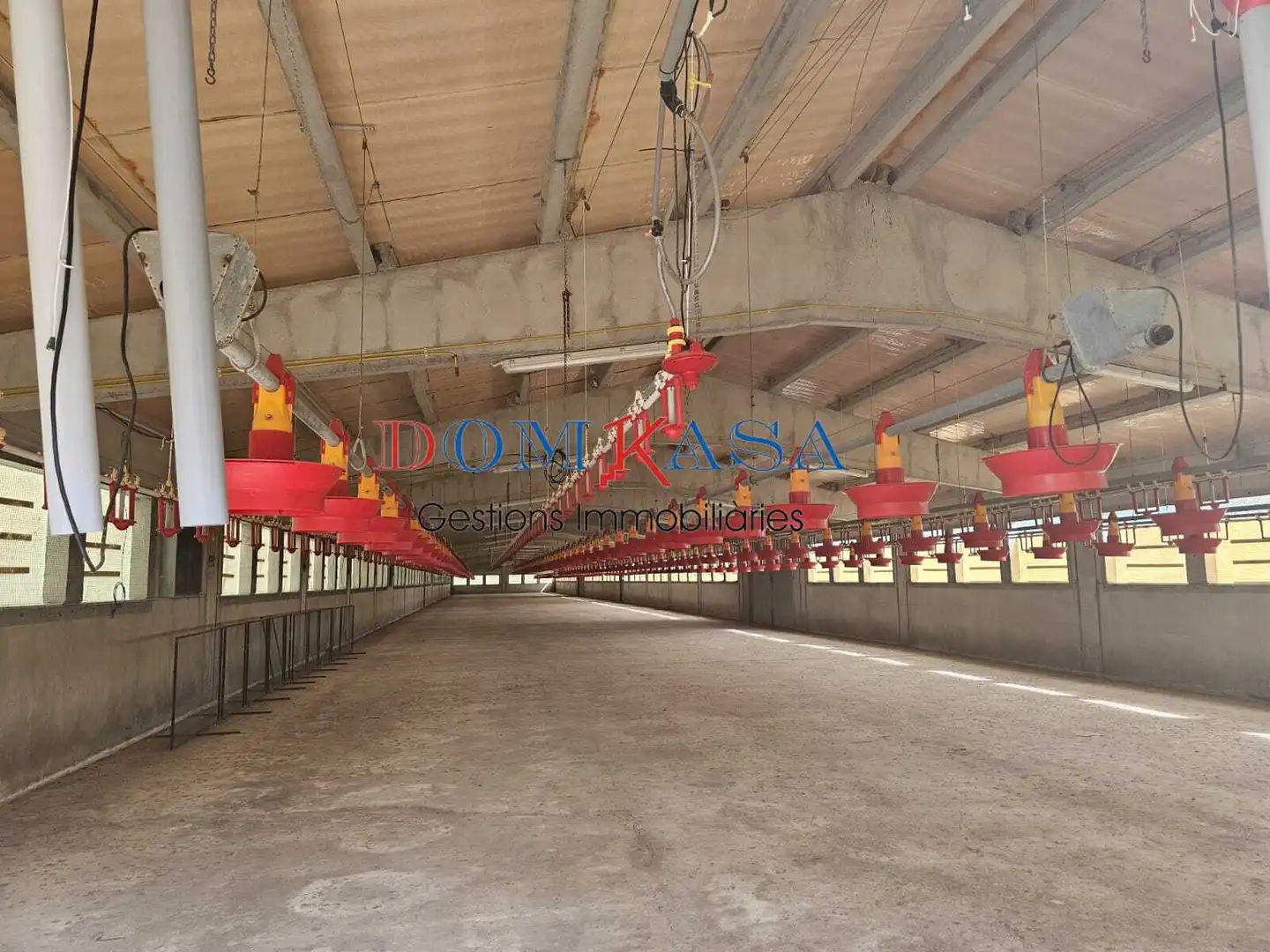 Exterior view of Industrial buildings for sale in Xerta