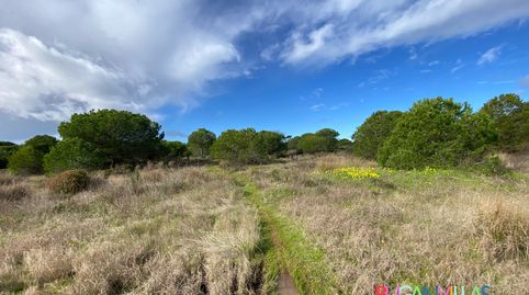 Photo 4 of Land for sale in N/a, -1, Villablanca, Huelva