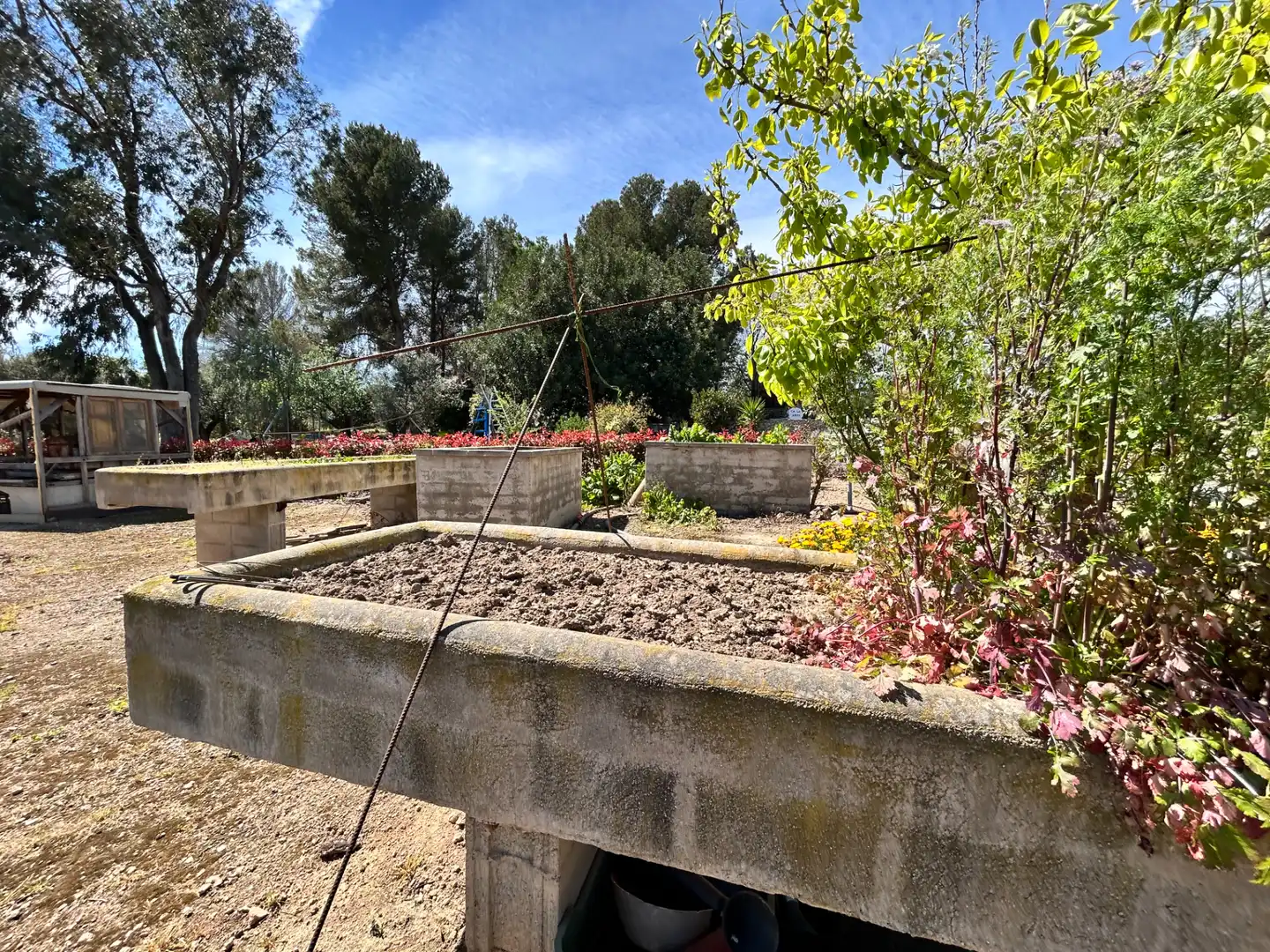 Jardín de Casa o chalet en venta en Valls con Aire acondicionado, Jardín privado y Terraza