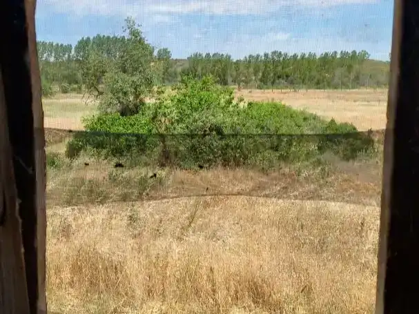 Casa o xalet en venda en Pueblica de Valverde amb Balcó