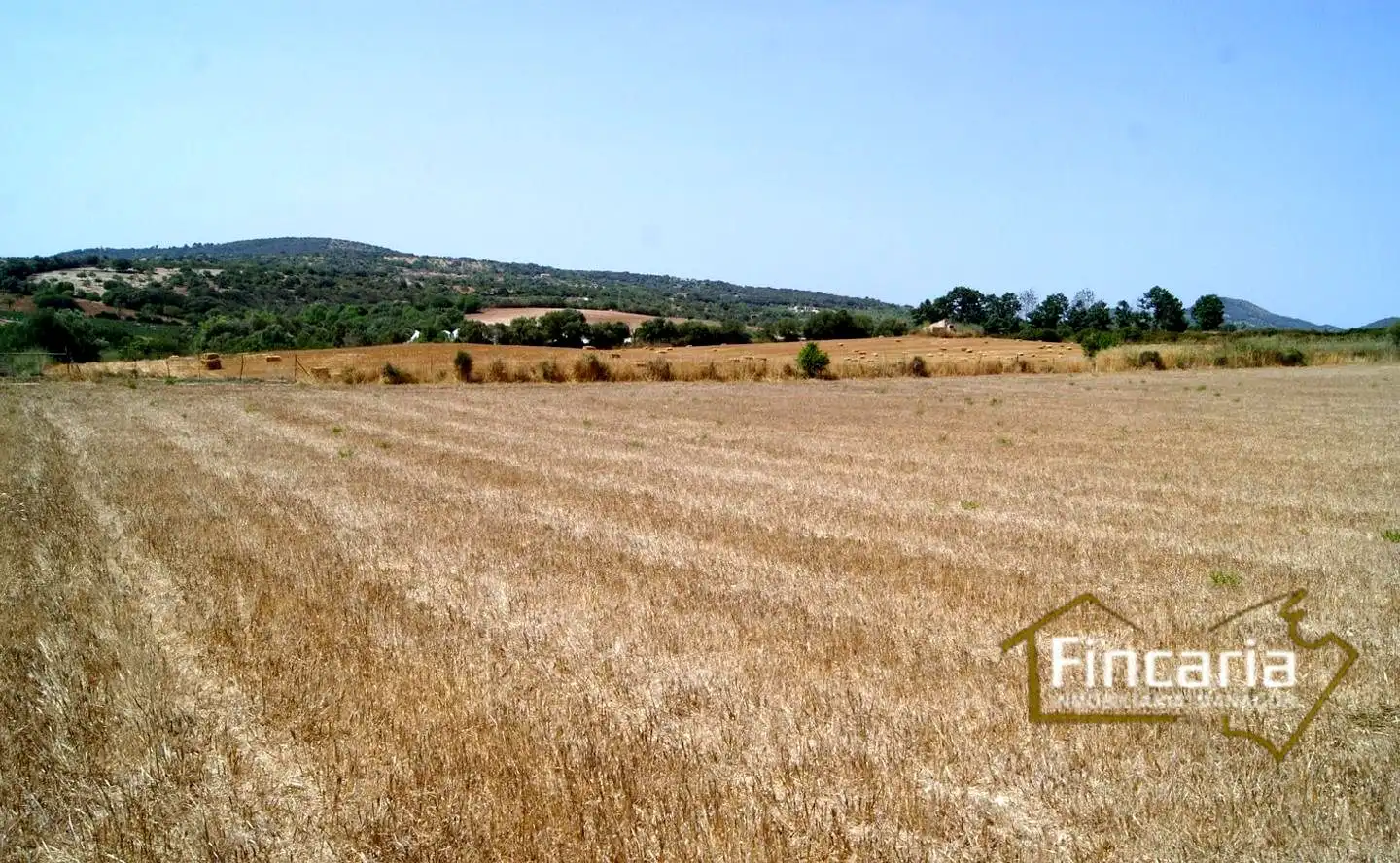 Terrenys i solars en venda a Camí de sa Murtera, imagen 10