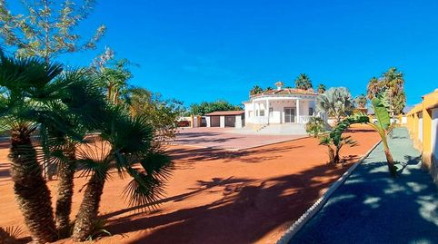 Foto 5 de Casa o chalet de alquiler en Cam. la Barbua, Catral, Alicante