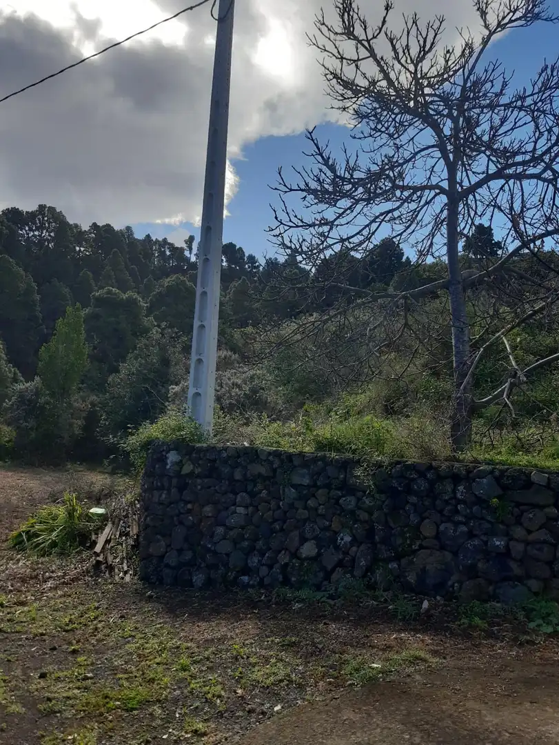 Terreno rústico en venta en La Vega - El Amparo - Cueva del Viento, imagen 5