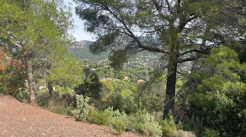 TERRENO CON MAGNIFICAS VISTAS, immagine 5