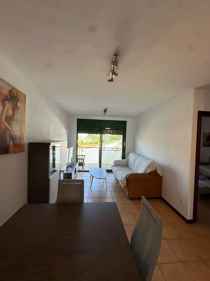 Sala de estar de Apartamento en venta en Amposta