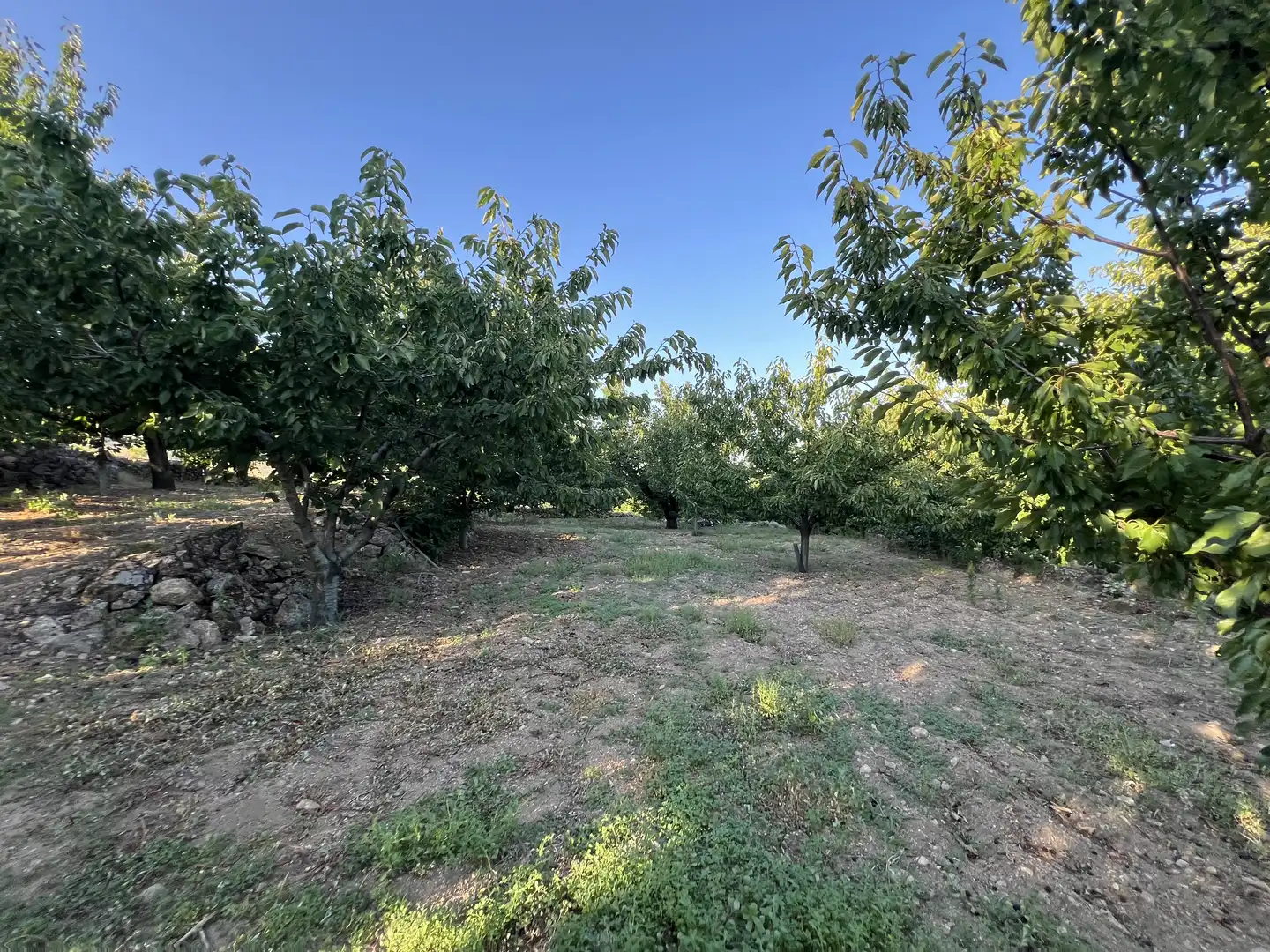 Terreni e lotti in vendita a Garganta la Olla, imagen 10