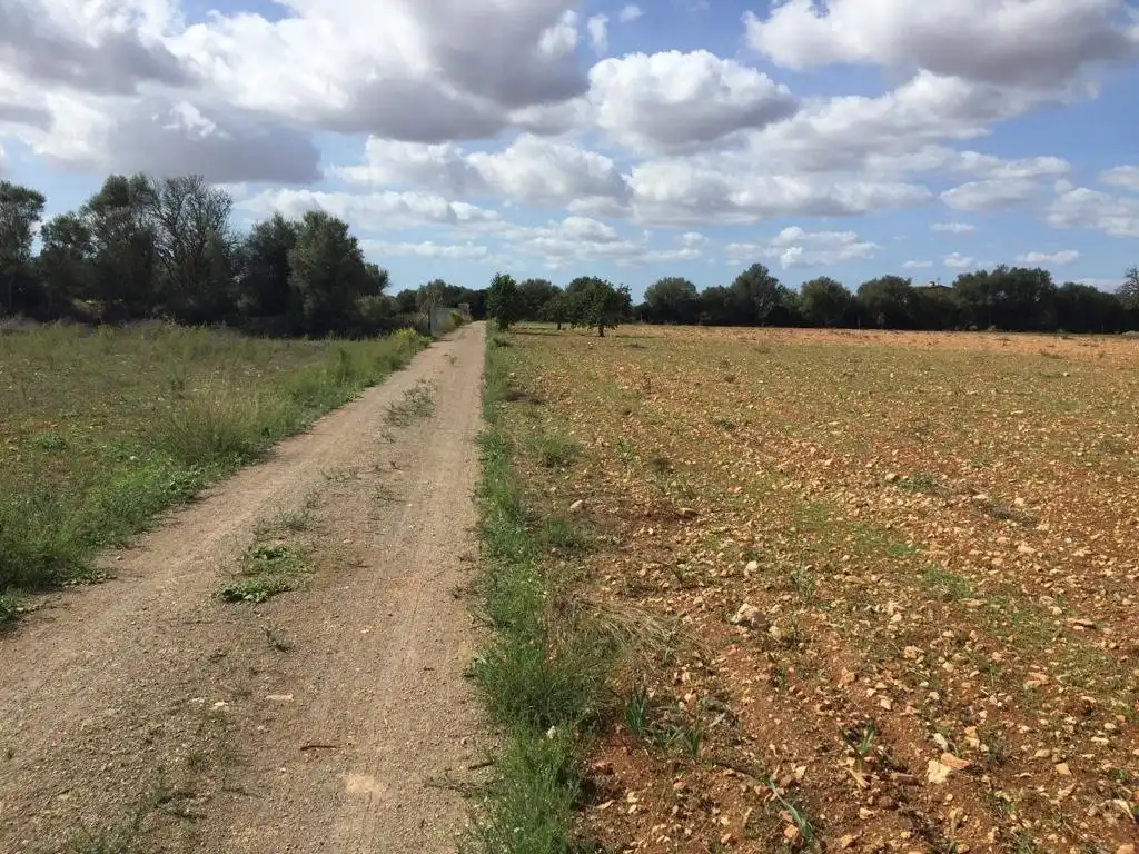 Rural land for sale in Felanitx Poble, imagen 2