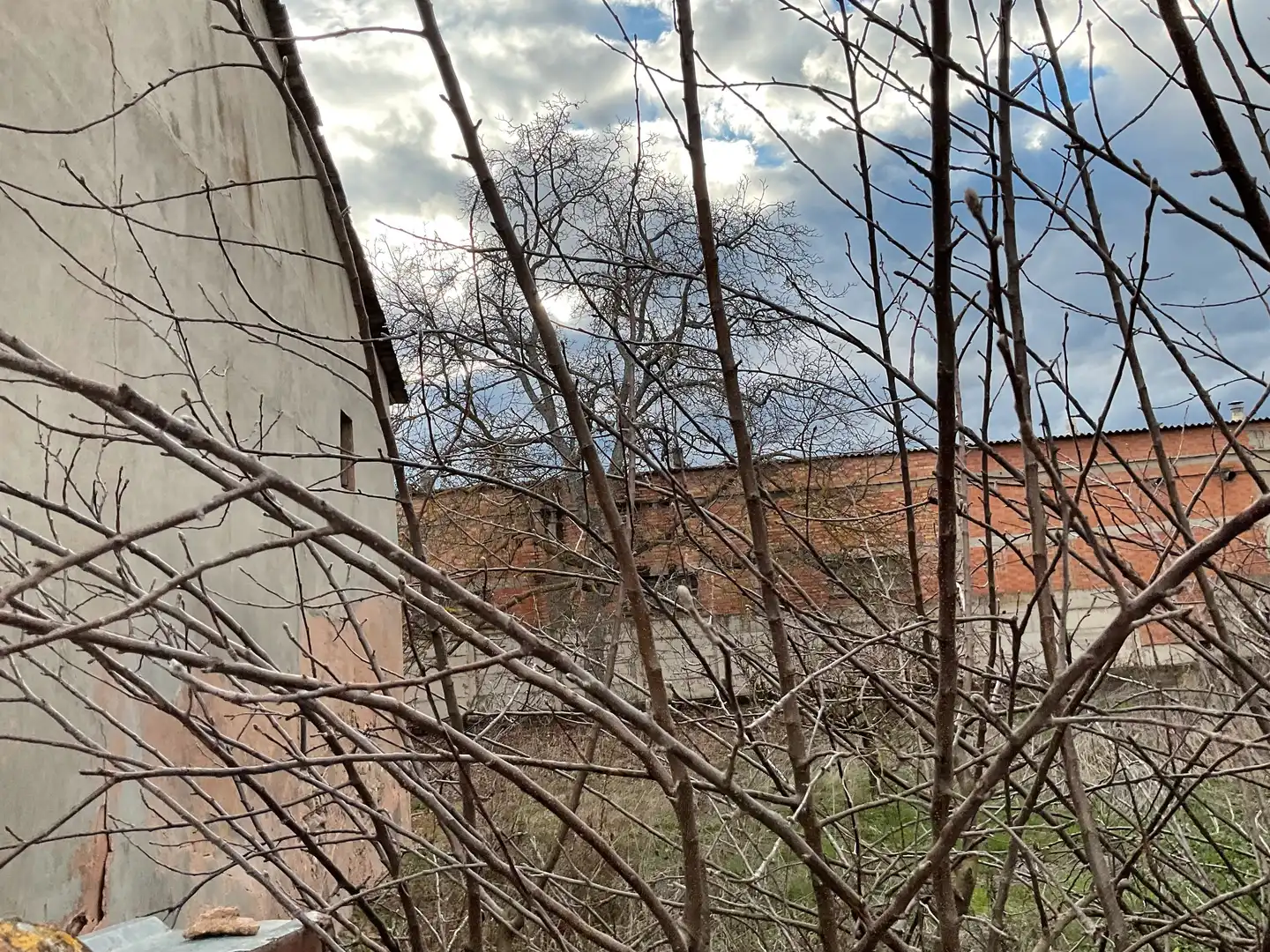 Casa con jardín en venta en Santo Domingo de la Calzada, imagen 20