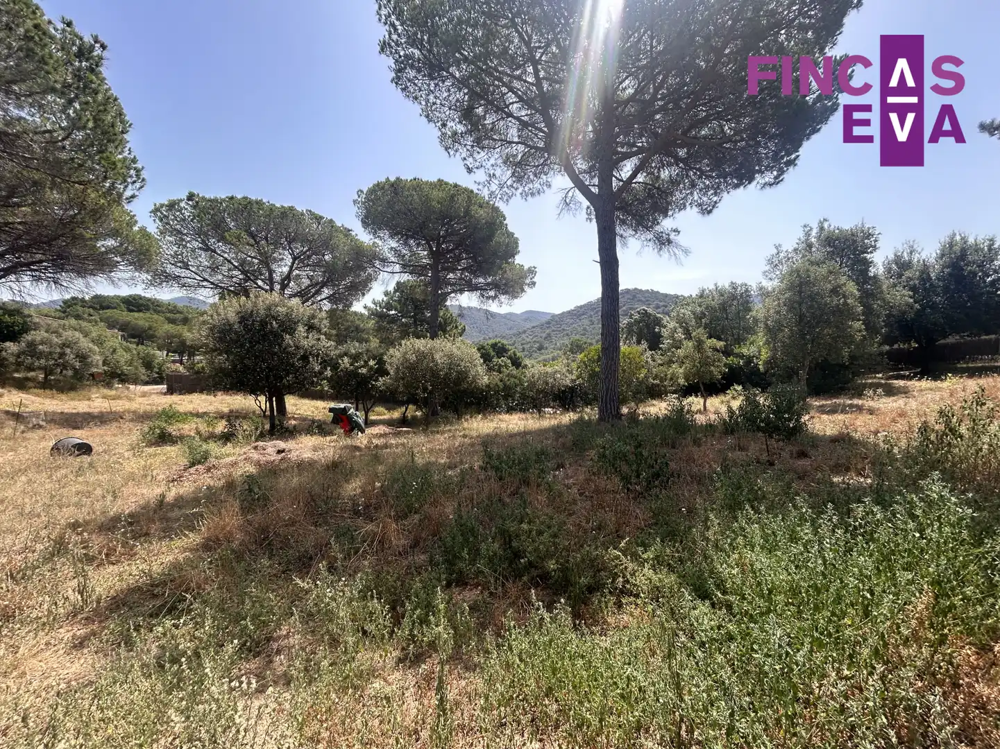 Rural land for sale in Vallromanes - CL SANT ANDREU, imagen 19