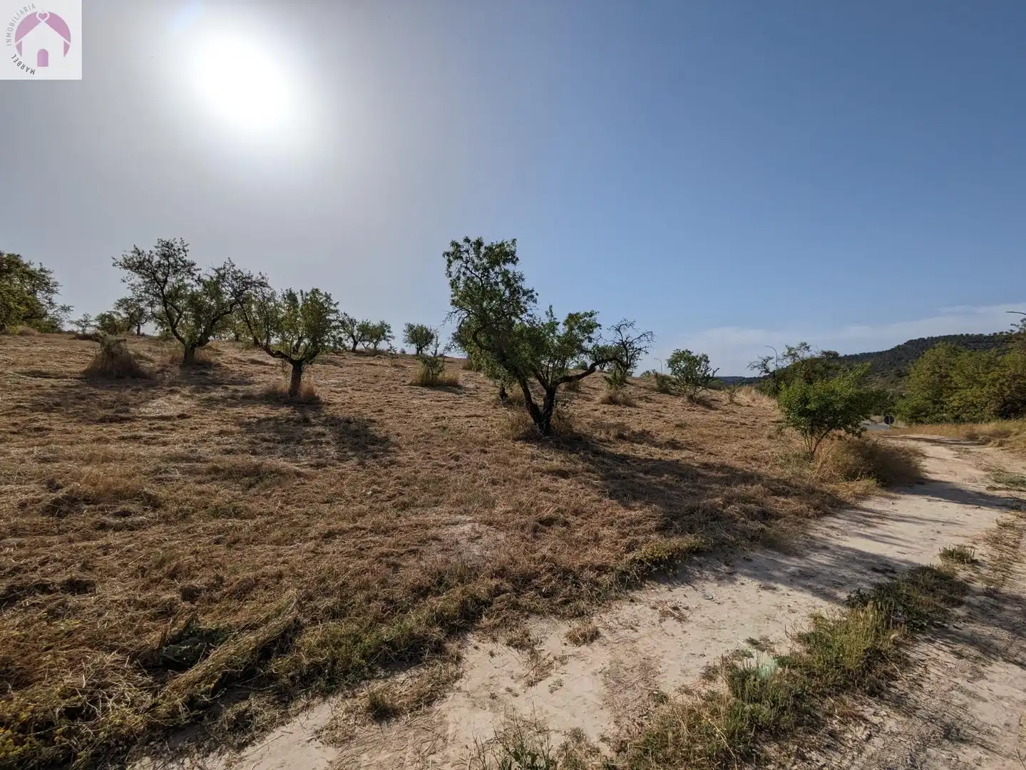 Residential land for sale in EXTRARRADIO, imagen 4