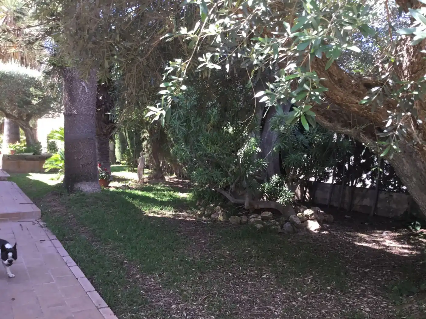 Jardín de Casa o chalet en venta en Murcia con Piscina y Amueblado