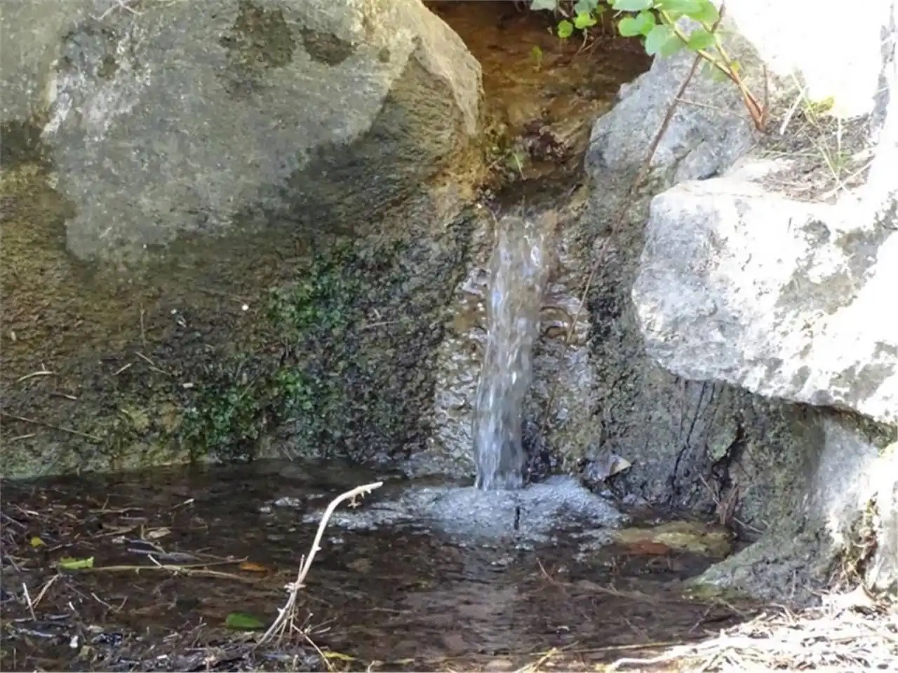 Wohnbaugrundstück zum Verkauf in Paüls, imagen 2