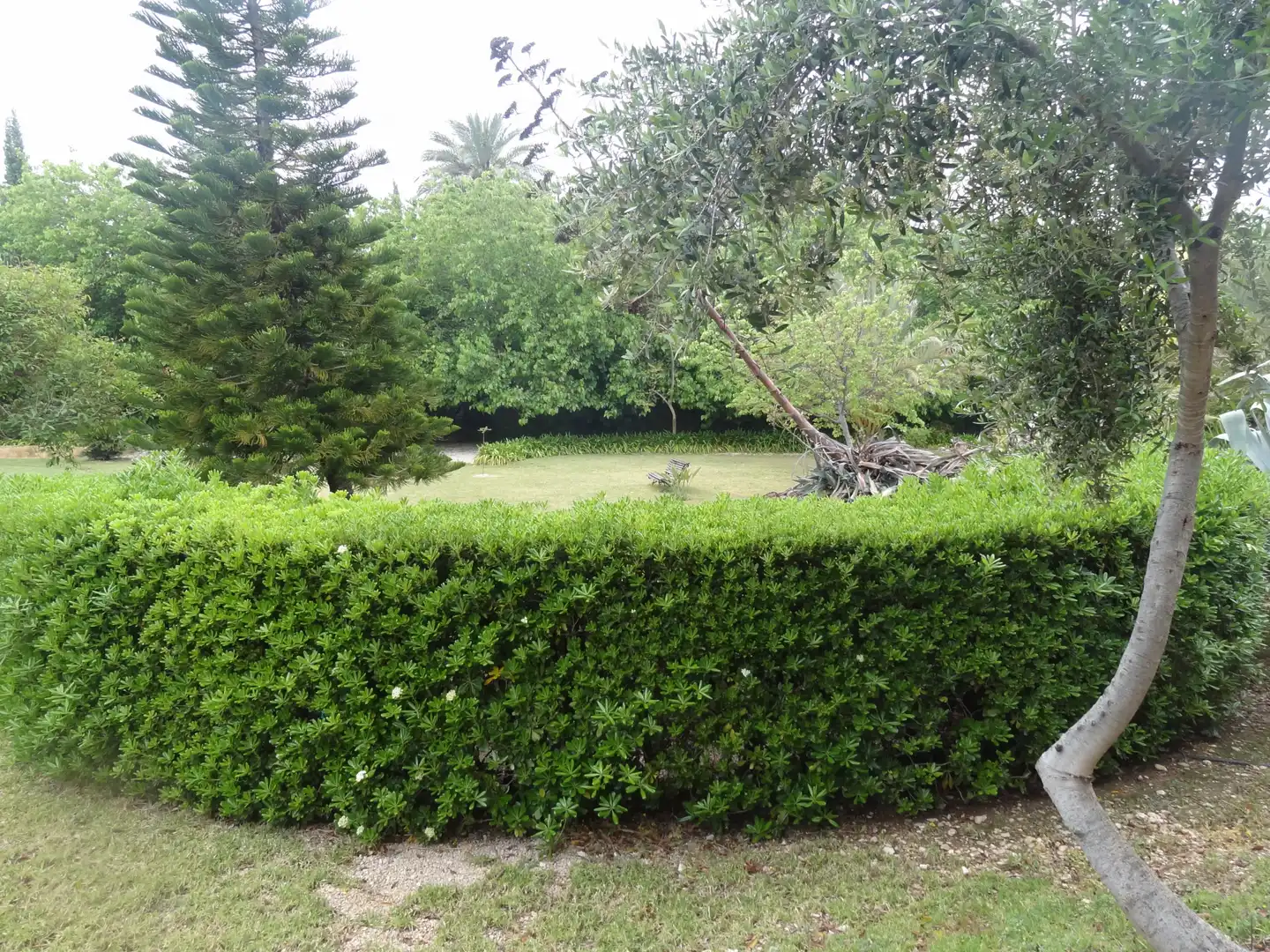Jardí de Casa o xalet en venda en Beniarbeig