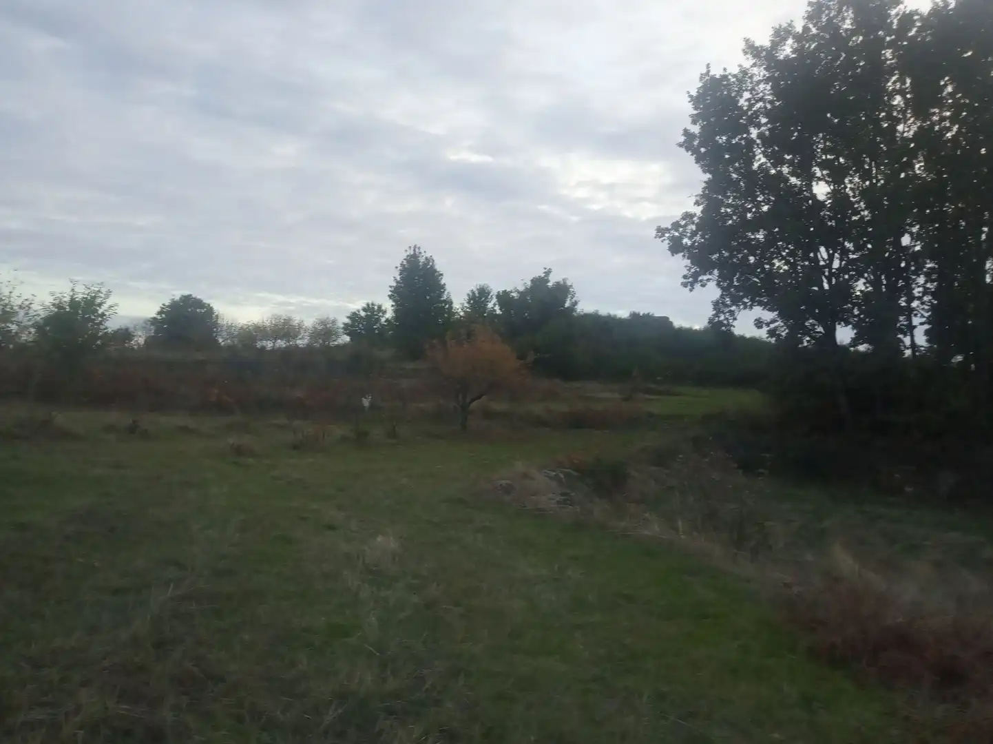 Terreni e lotti in vendita a Jarandilla de la Vera, imagen 9