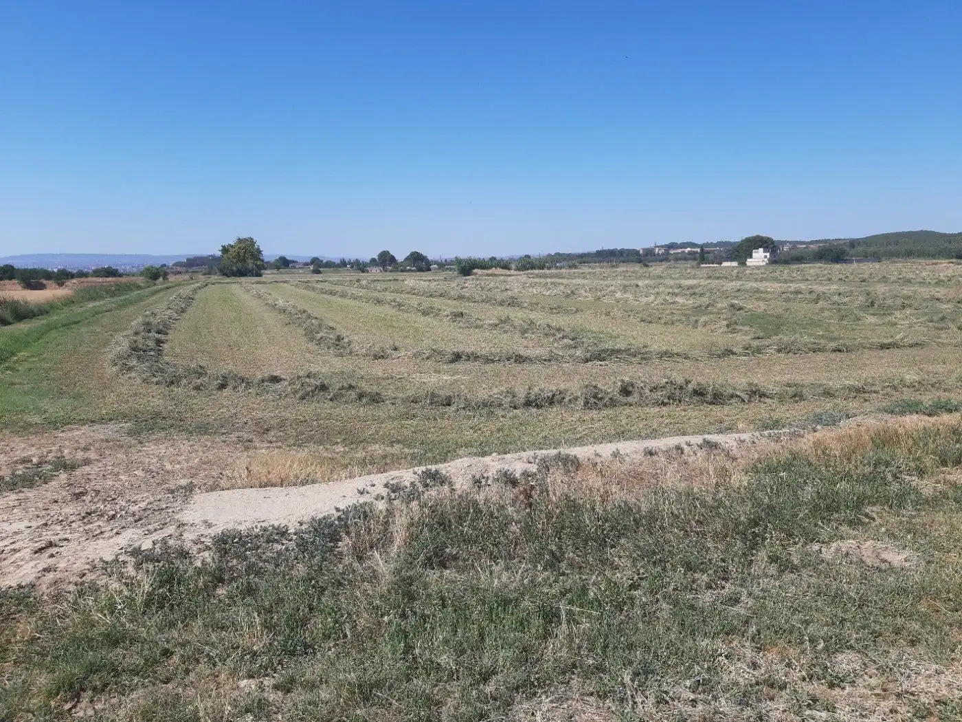 Grundstücke zum Verkauf in Zaragoza
