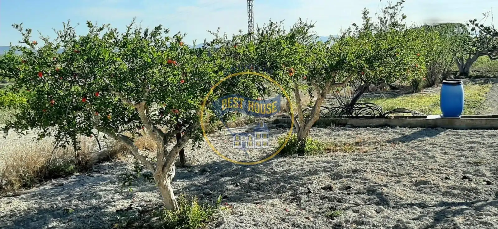 Finca rústica en venda en Albaida amb Traster i Piscina