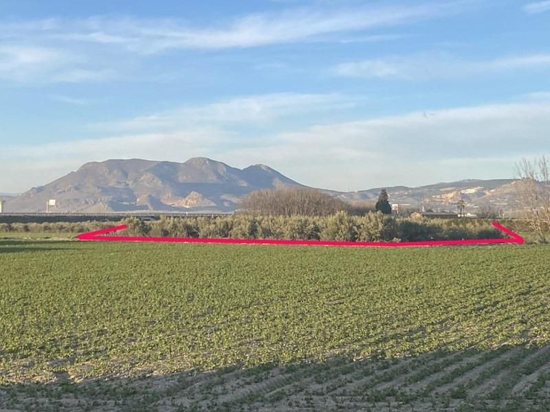 Vista exterior de Finca rústica en venta en Vegas del Genil