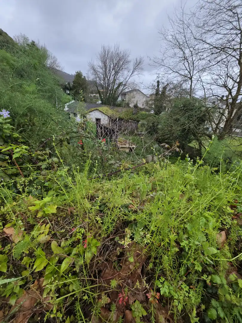 Casa o chalet en venta en Ferrol con Balcón