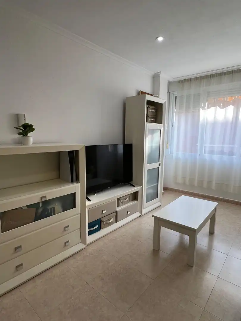 Living room of Apartments for rent in San Javier  with Air Conditioner, Heating and Furnished