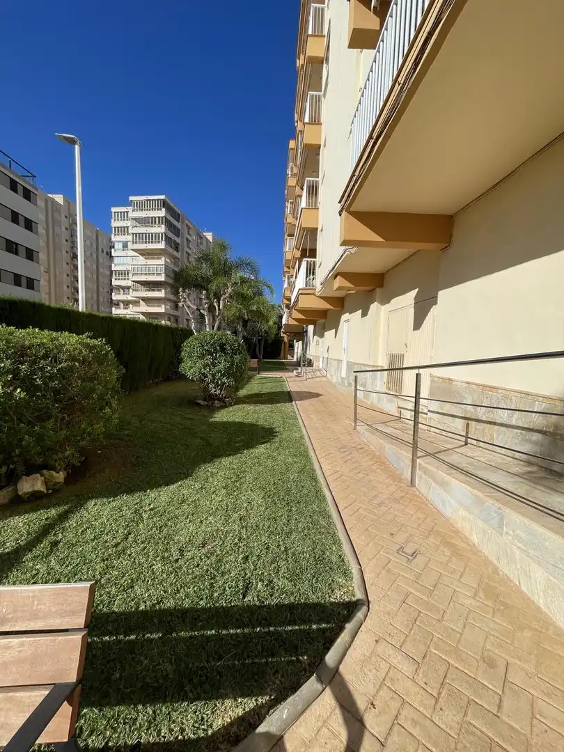 Àtic de lloguer a Vila-Real, Els Terrers