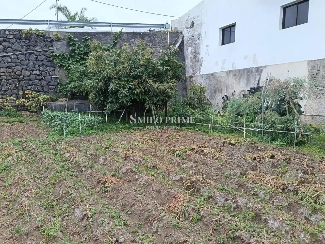 Finca rústica en venda en Icod de los Vinos amb Jardí privat i Terrassa