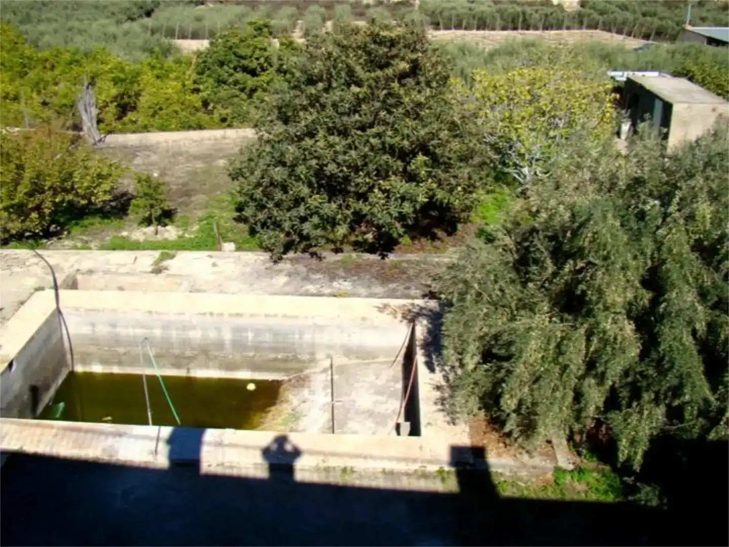 Jardí de Casa o xalet en venda en Íllar amb Jardí privat, Traster i Piscina