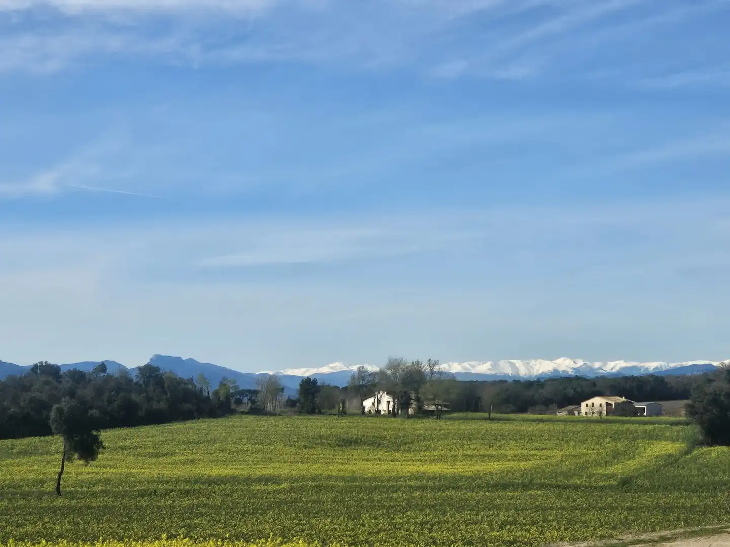 Vista exterior de Finca rústica en venda en Caldes de Malavella