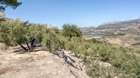 Photo 3 of Land for sale in El Pinar, Granada