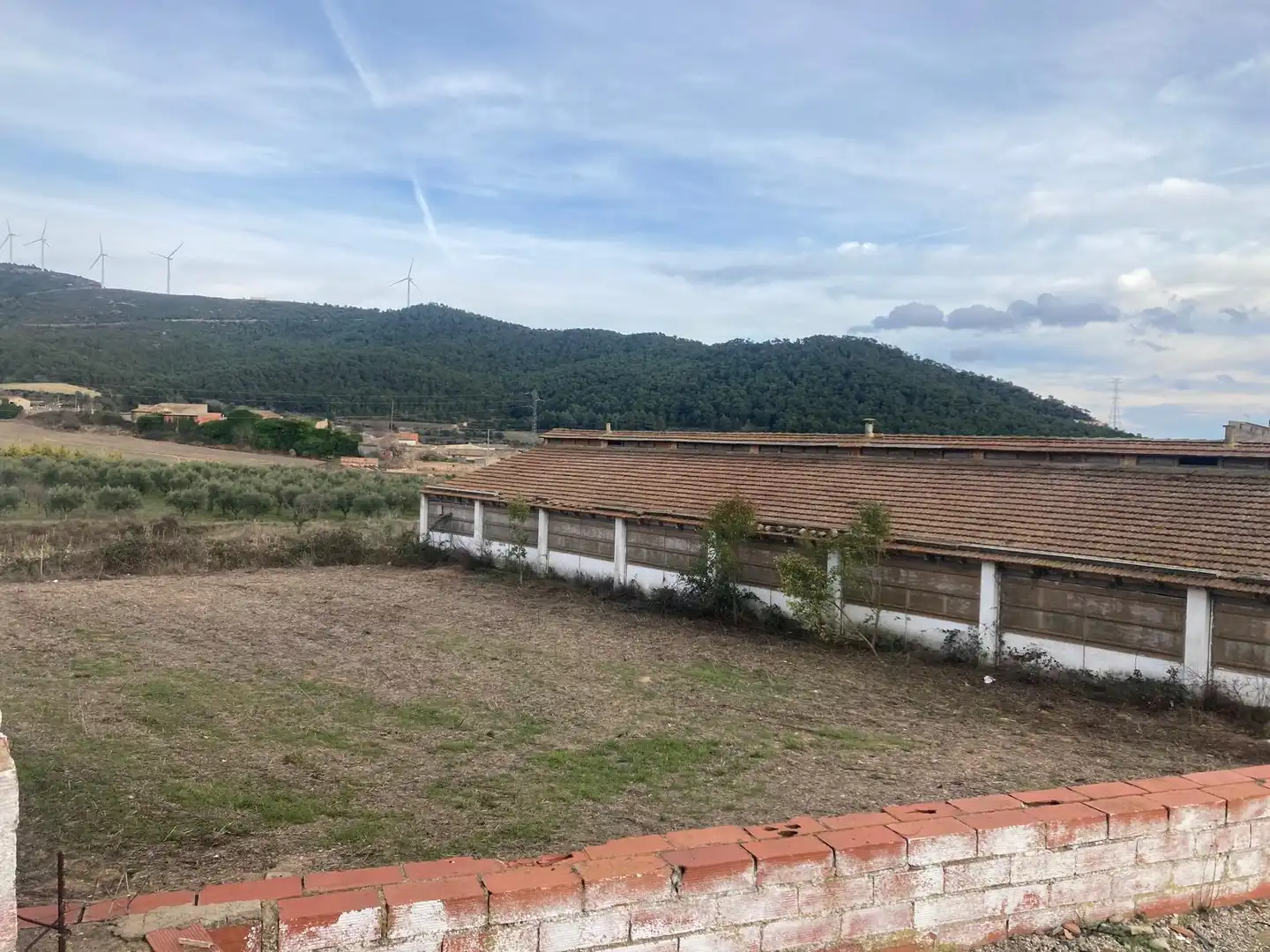 Nave industrial en venta en Cabra del Camp