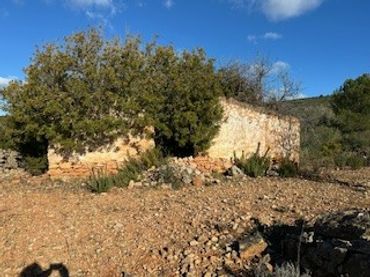 Terreno rustico in vendita a Pueblo